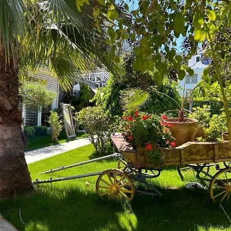 Marina Boutique Hotel Hotel Fethiye